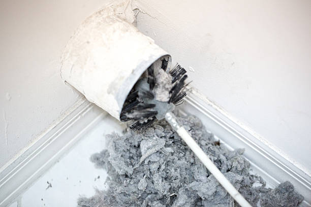 Best Air Vent Cleaning Services  in Flence, OR